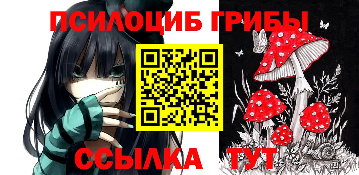 Галлюциногенные грибы прущие грибы Ноябрьск
